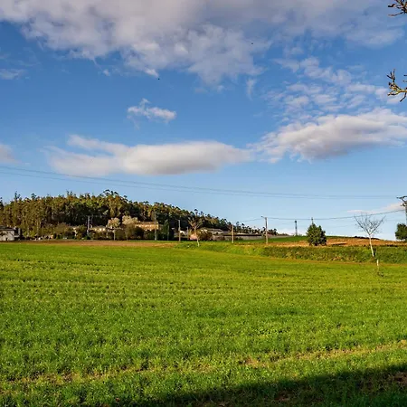 Apartment Atico Casa Venancio